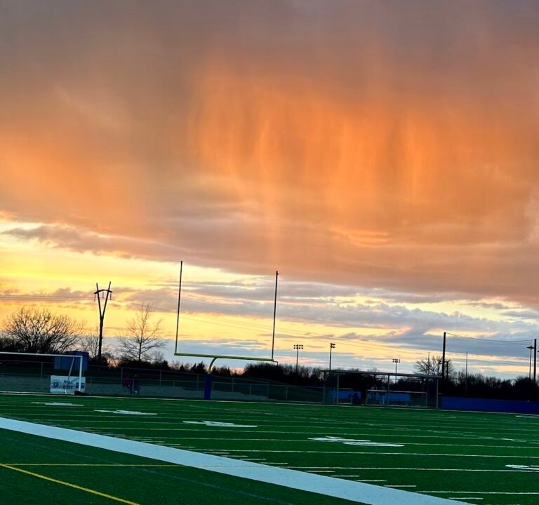 Soccer Field image 2