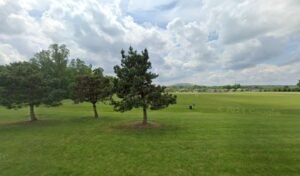 Soccer Field image 1
