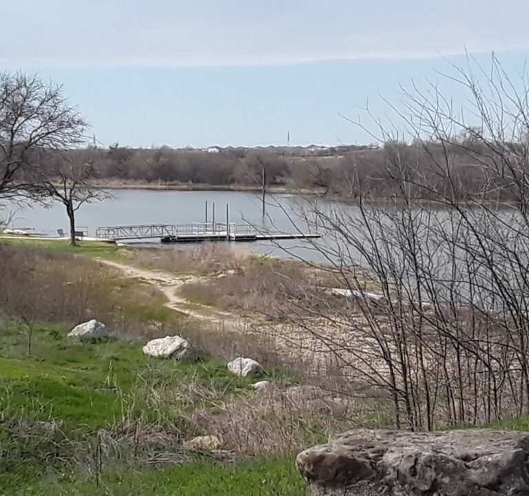 Soccer Field image 2