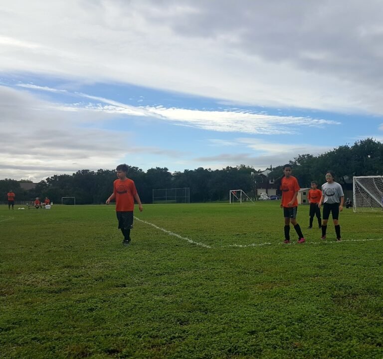 Soccer Field image 2