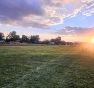 Soccer Field image 3