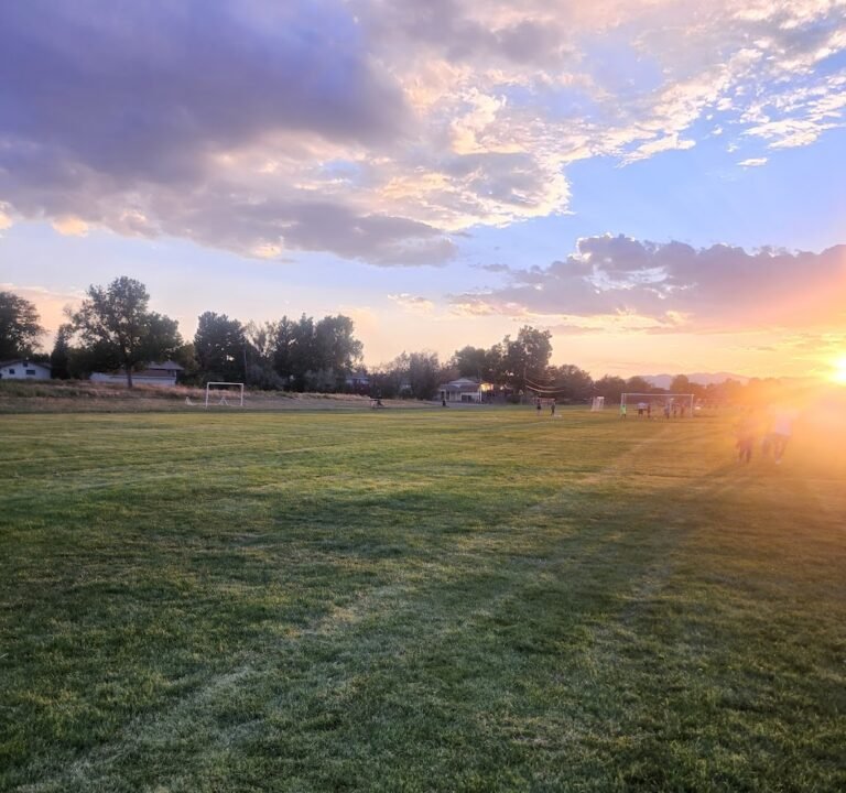 Soccer Field image 3