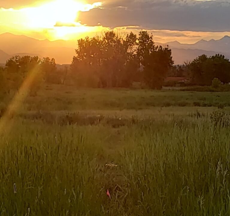 Soccer Field image 2