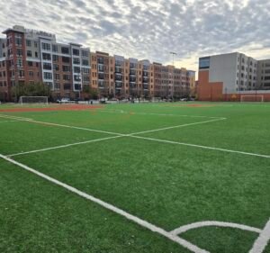Soccer Field image 2
