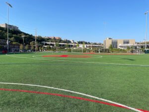 Soccer Field image 1