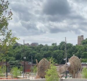 Soccer Field image 4