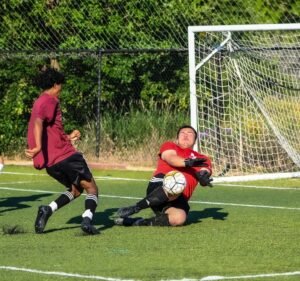 Soccer Field image 3