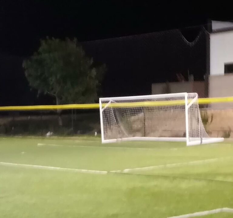 Soccer Field image 4