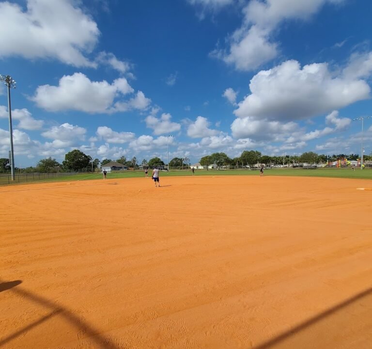 Soccer Field image 2
