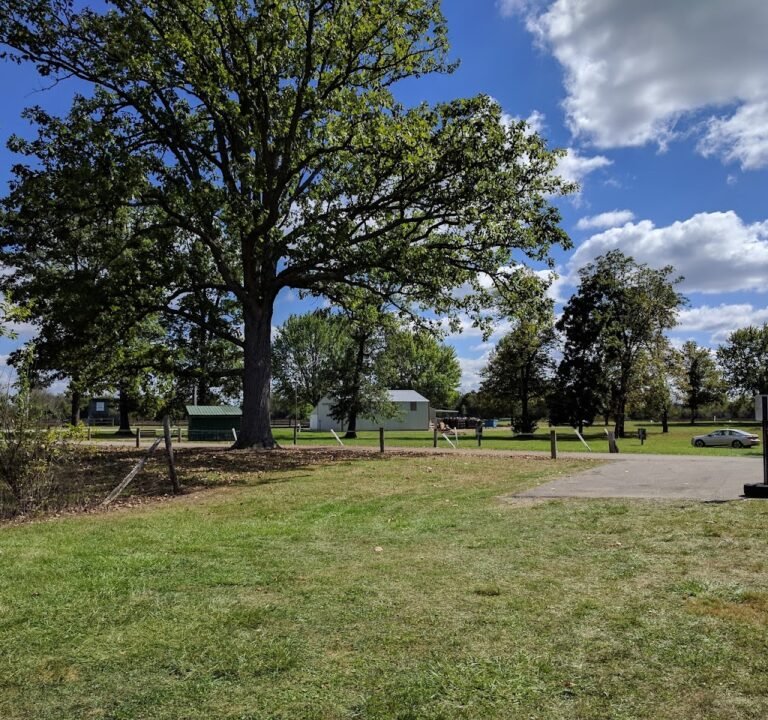 Soccer Field image 2