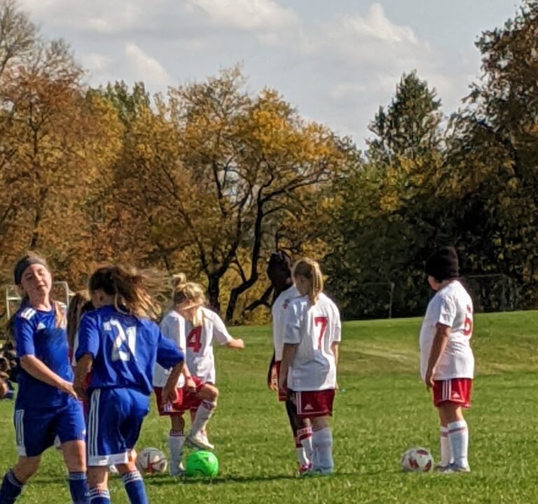 Soccer Field image 3