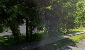 Soccer Field image 1