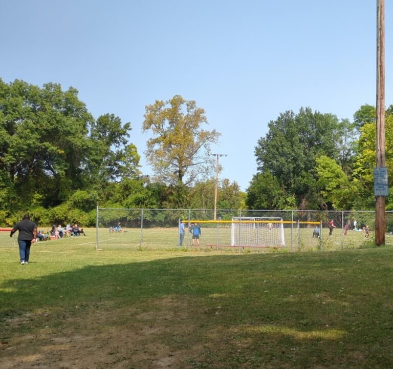 Soccer Field image 2