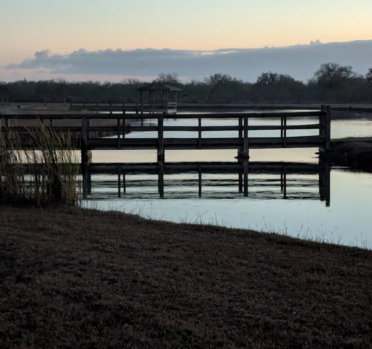 Soccer Field image 3