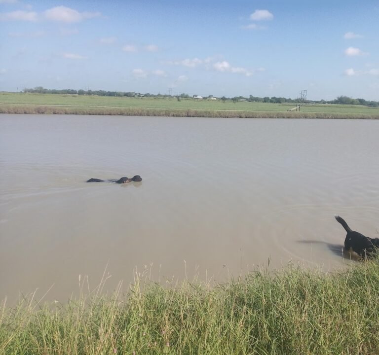 Soccer Field image 2