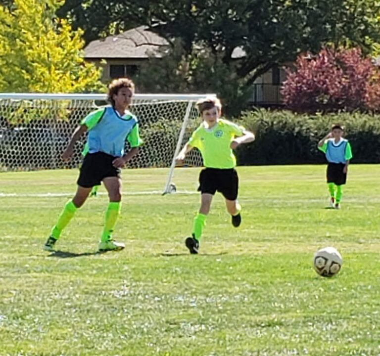 Soccer Field image 3