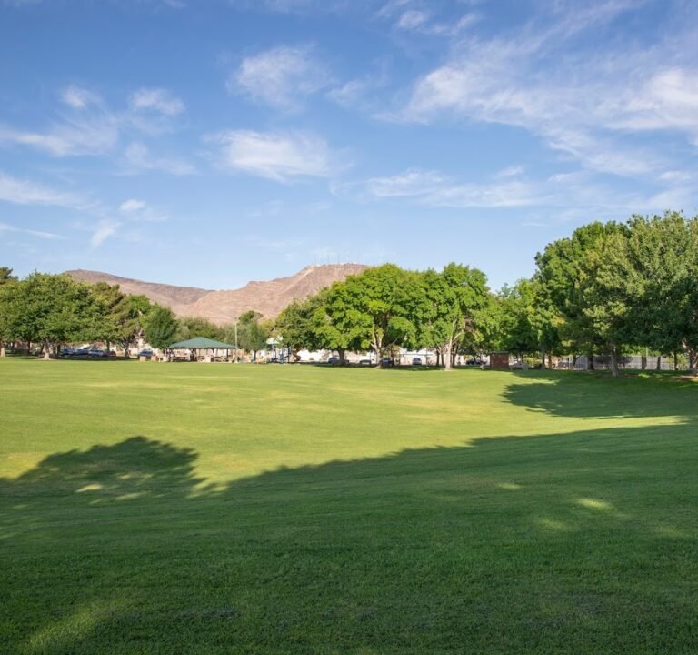 Soccer Field image 2
