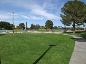 Soccer Field image 1