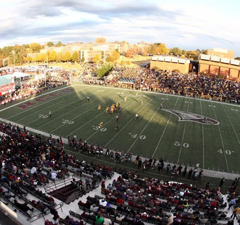 Soccer Field image 2