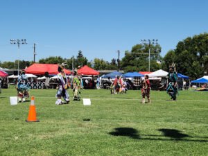 Soccer Field image 1