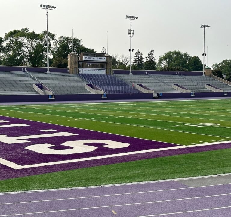 Soccer Field image 2