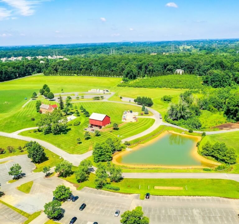Soccer Field image 3