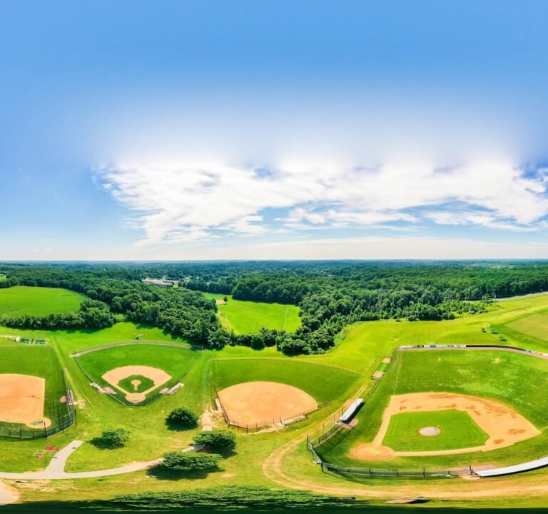 Soccer Field image 2