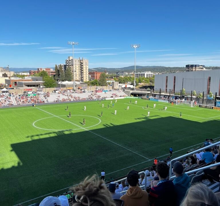 Soccer Field image 3