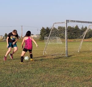 Soccer Field image 2
