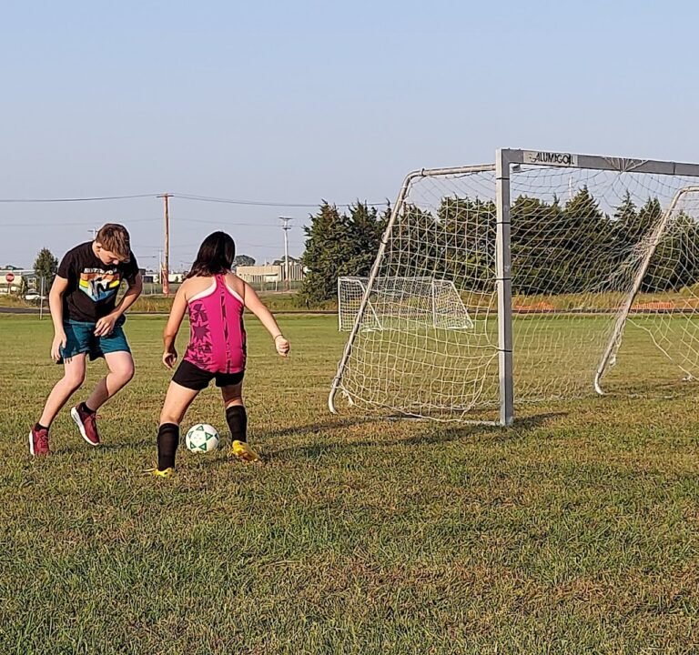 Soccer Field image 2