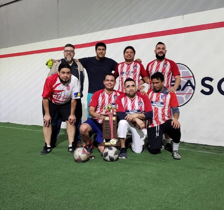 Soccer Field image 2