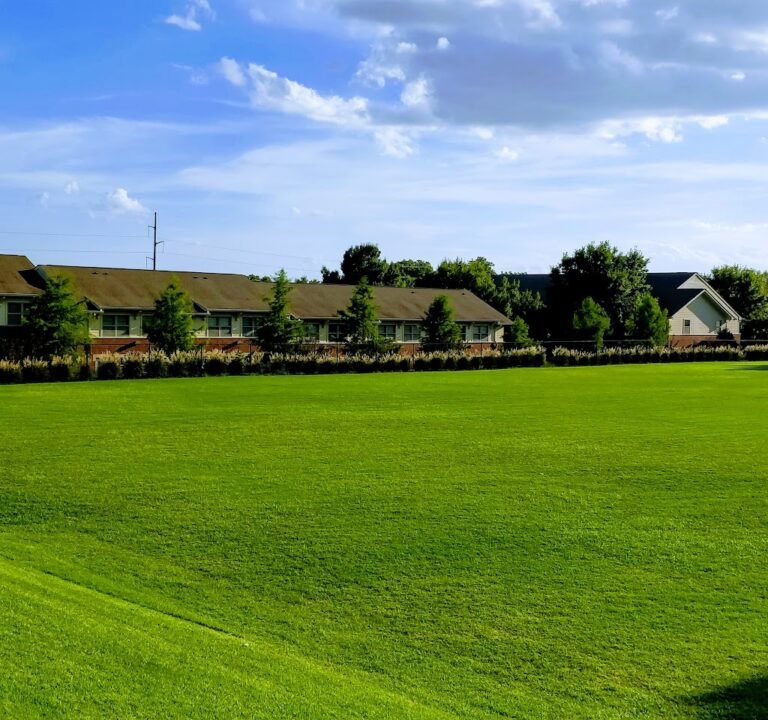 Soccer Field image 2