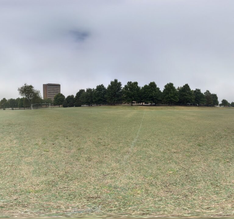 Soccer Field image 3