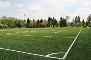 Soccer Field image 1