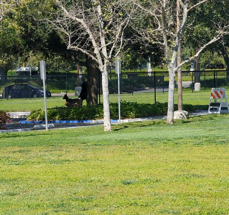 Soccer Field image 4