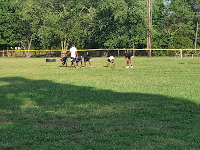Soccer Field image 1