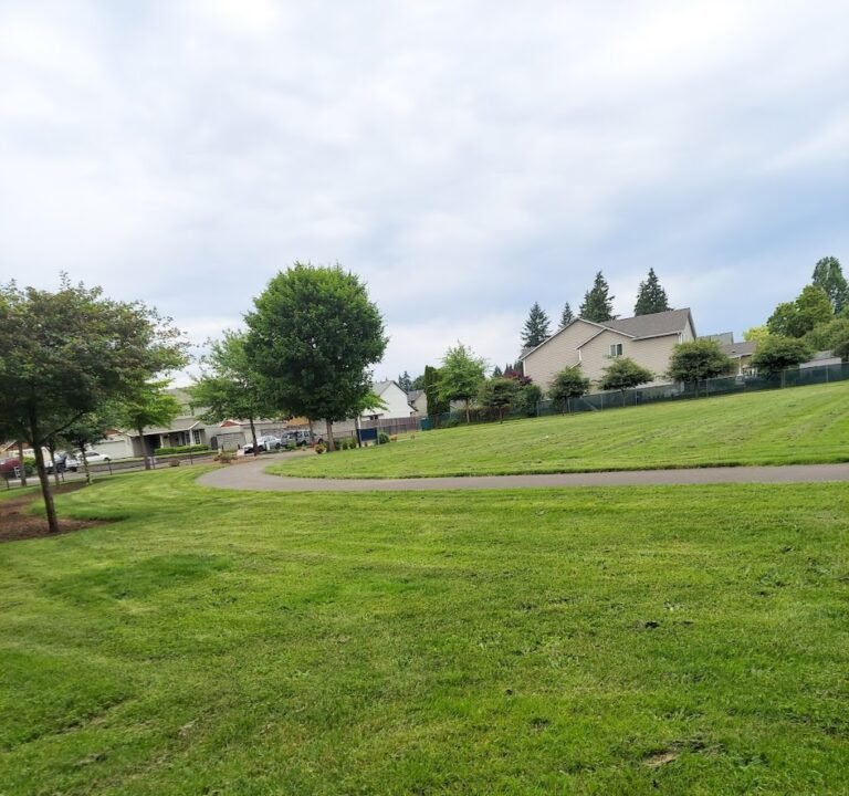 Soccer Field image 2