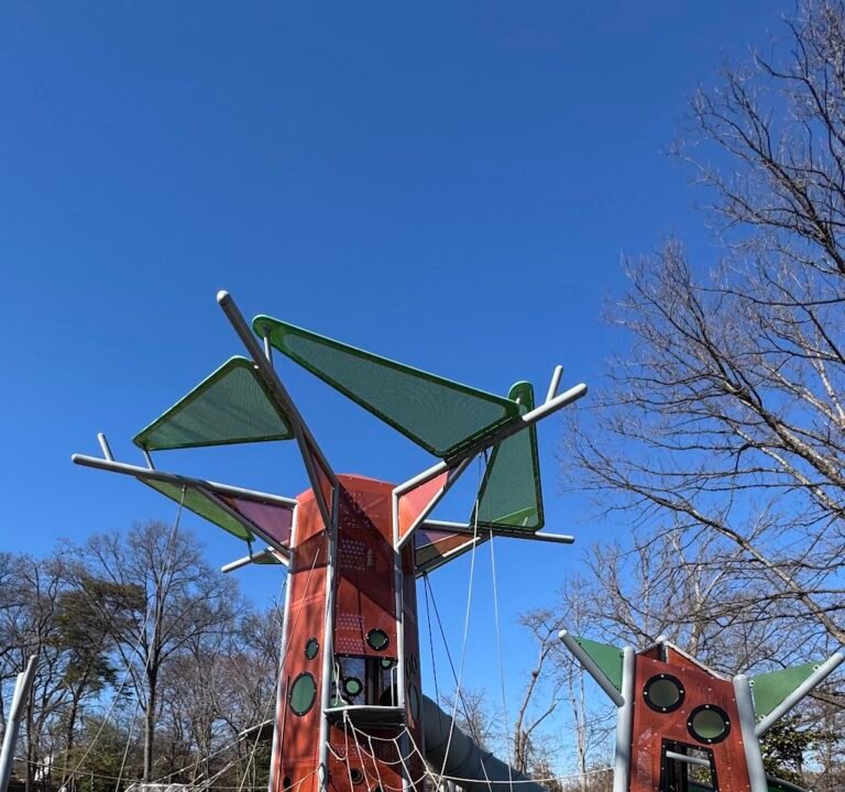 Soccer Field image 3