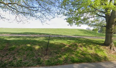 Soccer Field image 1