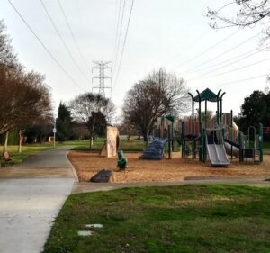 Soccer Field image 2