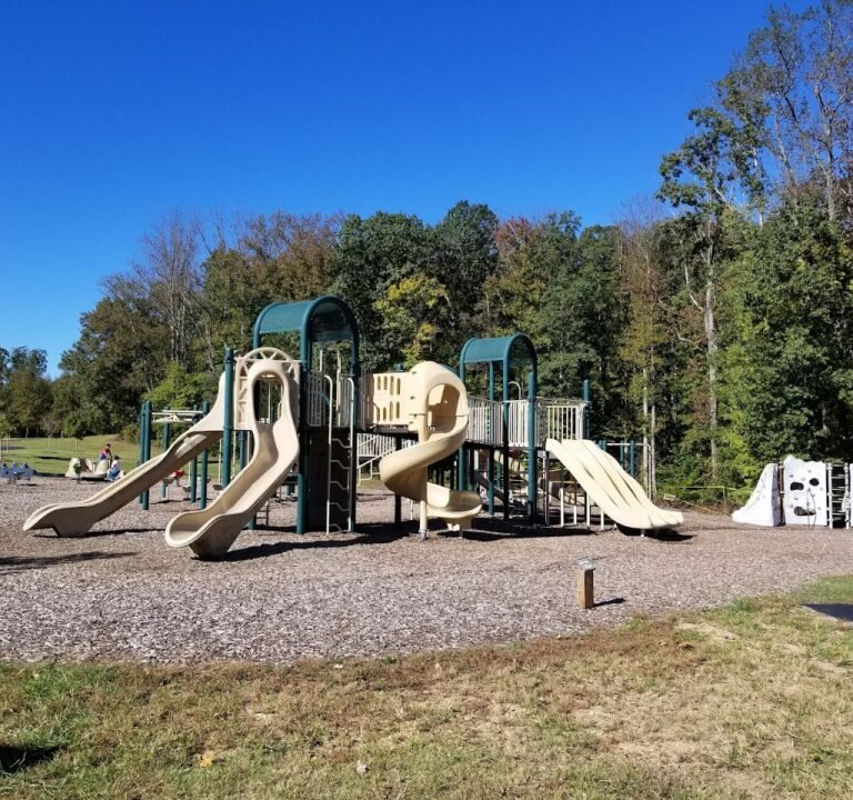 Soccer Field image 2