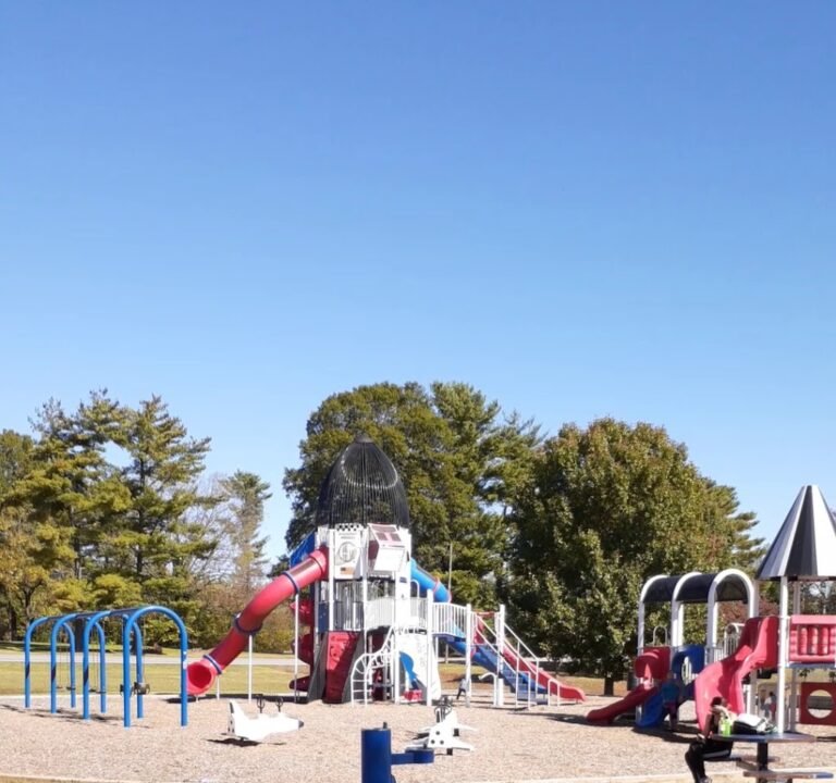 Soccer Field image 3