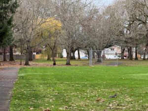 Soccer Field image 1