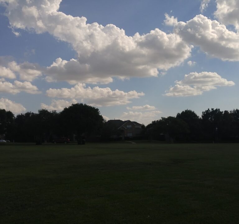 Soccer Field image 3