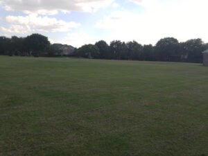 Soccer Field image 1
