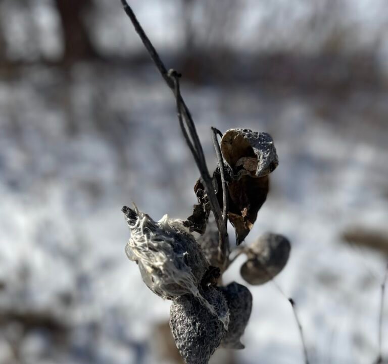 Soccer Field image 3