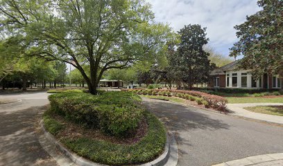 Soccer Field image 1