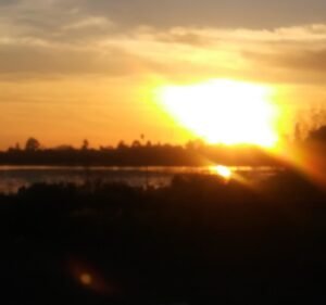 Soccer Field image 3