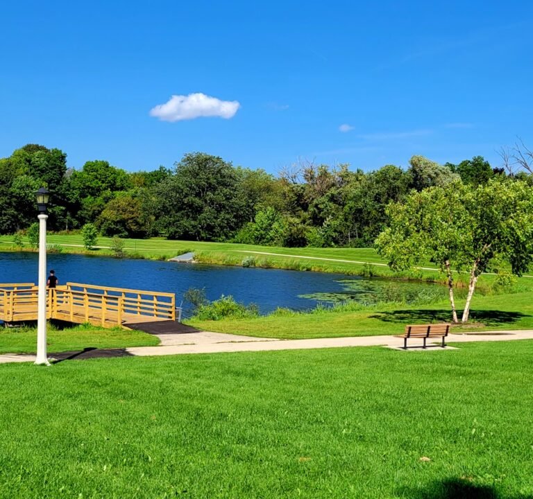 Soccer Field image 2