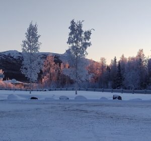 Soccer Field image 4
